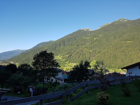 Apicoltura "Dalla Natura la Salute"