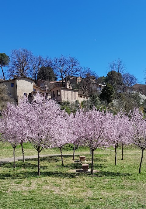 Parco giochi di Pescaia