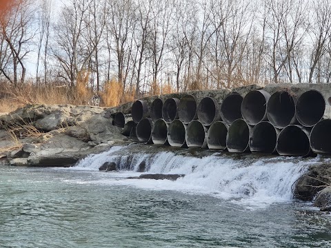 Area di Riequilibrio Ecologico "Golena San Vitale"