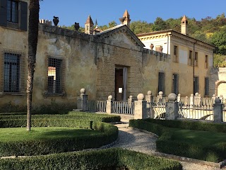 Cooking in Italy with Giuliano Hazan