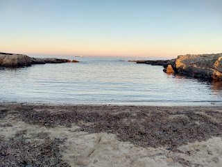 Purple Beach