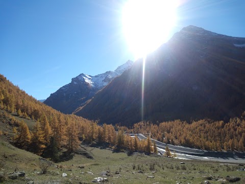 Punto Informazioni e pagamento pedaggio Parco Val Troncea