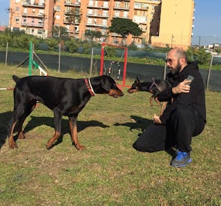 Dog School Di Ennio Ugliarolo