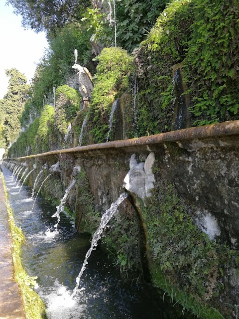 Fontana Dei Draghi