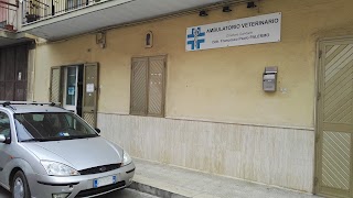 Ambulatorio Veterinario Dott. Francesco Paolo PALERMO