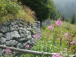 Ospedale da campo (Trincee)