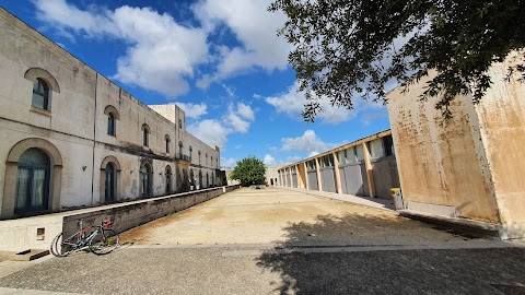 Fondazione Istituto di Alta Cultura Orestiadi onlus