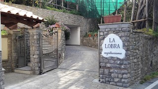 Agriturismo La Lobra