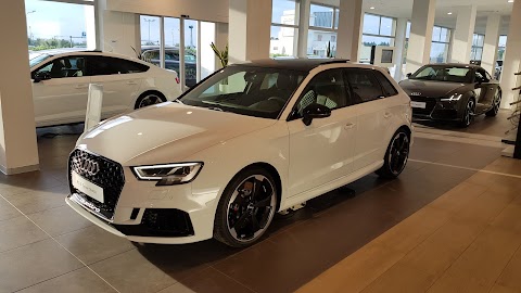 Magnifica-AUDI