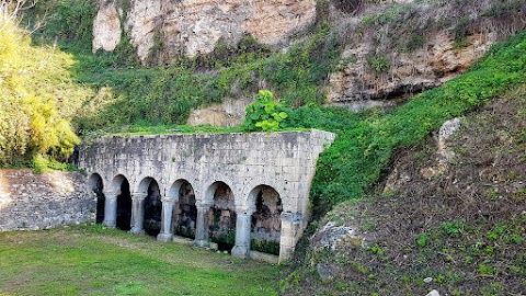 Claudia Moroni Guida Turistica Ufficiale Tarquinia