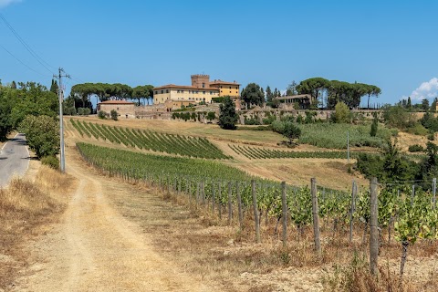 La Fonte San Gimignano