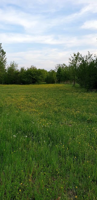 Il Bosco di Fusignano