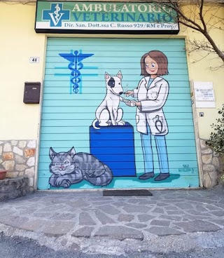 Ambulatorio Veterinario Palombara Sabina