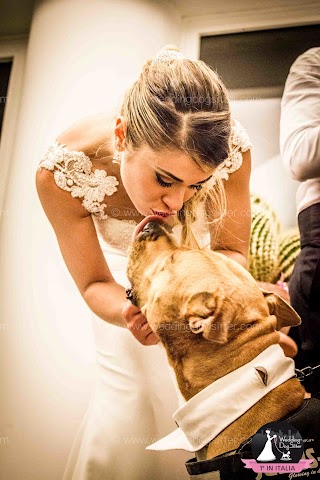 Wedding Dog Sitter Veneto