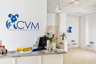 Clinica Veterinaria Malaspina