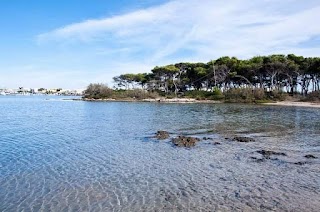 Isola dei Conigli di Porto Cesareo