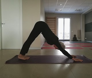 Samtosha Yoga Desenzano