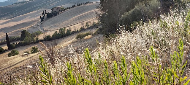Gladiator Shooting Spot