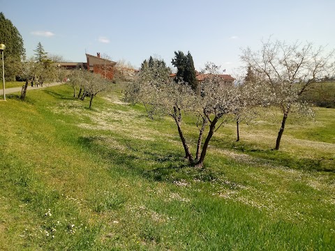 Centro internazionale Loppiano Belprato