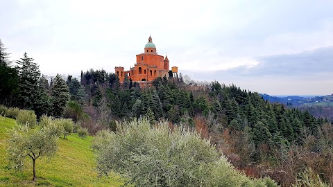 Avvocato Fabio Vincenzo Di Nucci