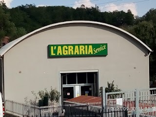 L' Agraria Service - Giardinaggio