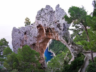 Arco Naturale