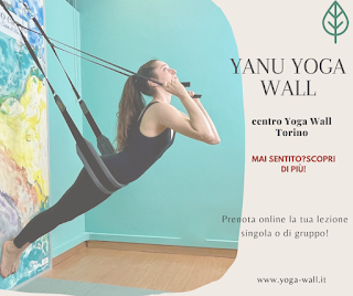 Yoga Wall - Yanu Yoga Academy