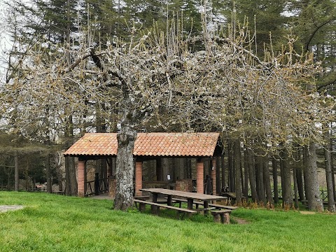 Rifugio Trearie