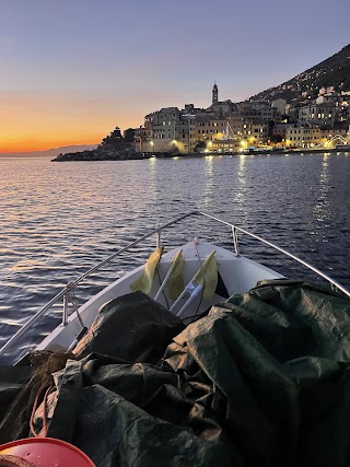 Pescheria la Lampara di Donati Stefano