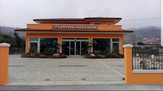 Cantina Valleagno Snc di Pellizzaro Moreno e C.