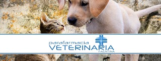 Veterinaria Faentina