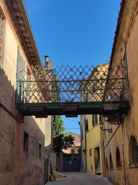 Tenuta Di Ghizzano