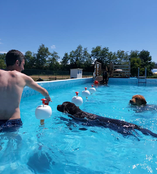 Centro Cinofilo "Beatinoi" Allevamento Golden Retriever