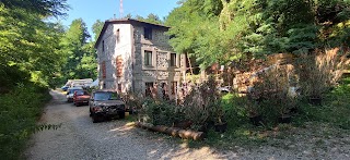 Antica Masseria Garfagnina (ex Agriturismo il Palio) Garfagnana