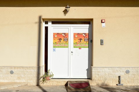 Asilo nido Il mondo di Simba - baby parking - Scuola dell'infanzia