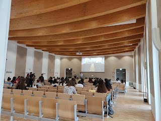 Università degli Studi di Padova - Dipartimento Studi Linguistici e Letterari