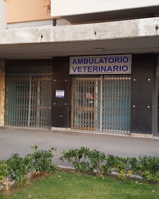 Studio Associato Dott.Perfetti M. & Stoppa M. Medici Veterinari