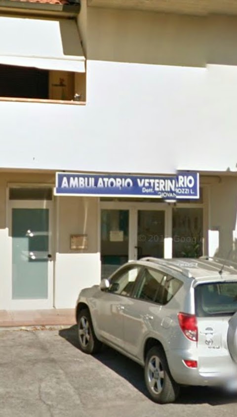 Luca Giovannozzi Ambulatorio Veterinario