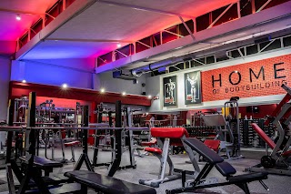 PPT GYM EXPERIENCE | PALESTRA