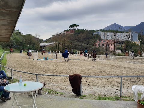 Arenzano Horse Riding Centre