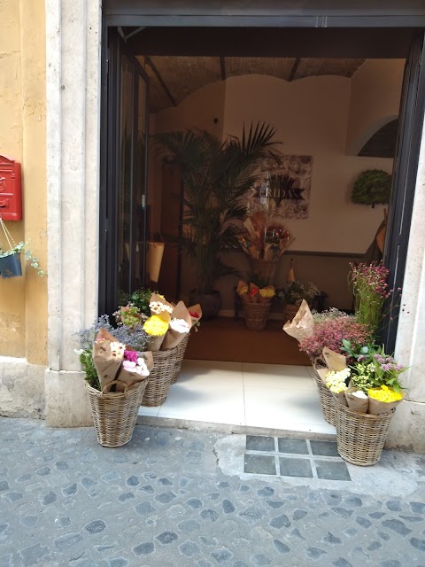 Frida's Roma - via Ancona | Italian Flower Stores