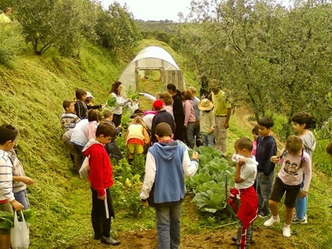 Baugiano, Oasi Agrituristica