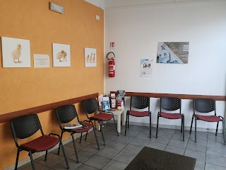 Clinica Veterinaria San Licandro Di Calabrese Dott. Ottavio