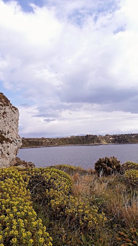 Torre di osservazione