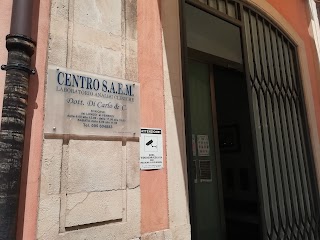 Centro S.A.E.M. del Dott.Di Carlo & C. sas