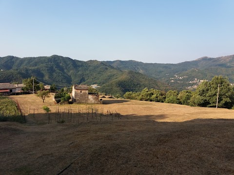 Ristorante Al Peccato di Gola