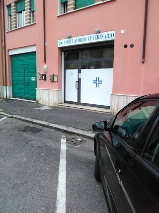 Ambulatorio veterinario Dott.ssa Bombardieri Monica