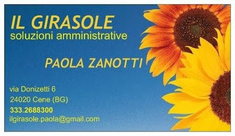 IL GIRASOLE DI ZANOTTI PAOLA