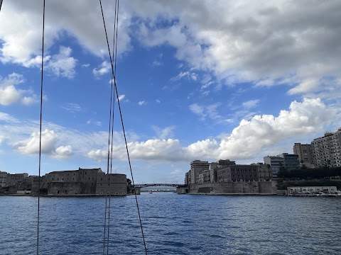 Stenella striata (Gite in barca Taranto) - Onlus