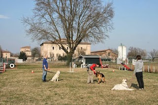 Passion for Dogs - Centro Cinofilo